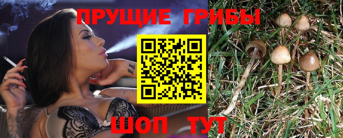 Псилоцибиновые грибы ЛСД Краснотурьинск